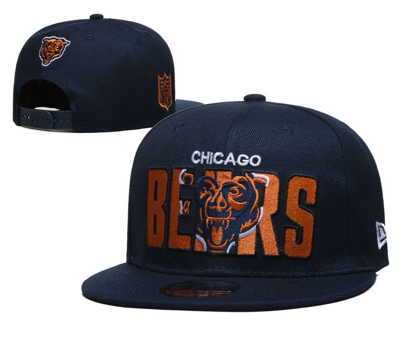 2024 NFL Chicago Bears Hat YS202410304